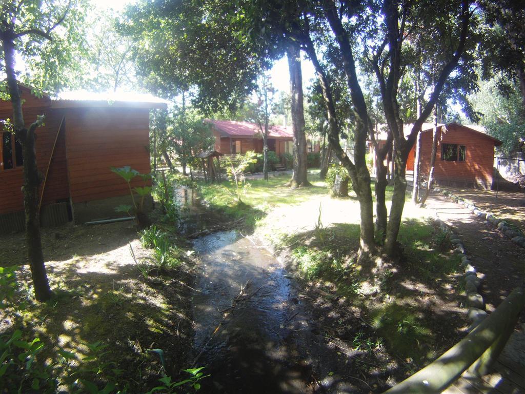 Cabanas Santa Maria Pucón Dış mekan fotoğraf