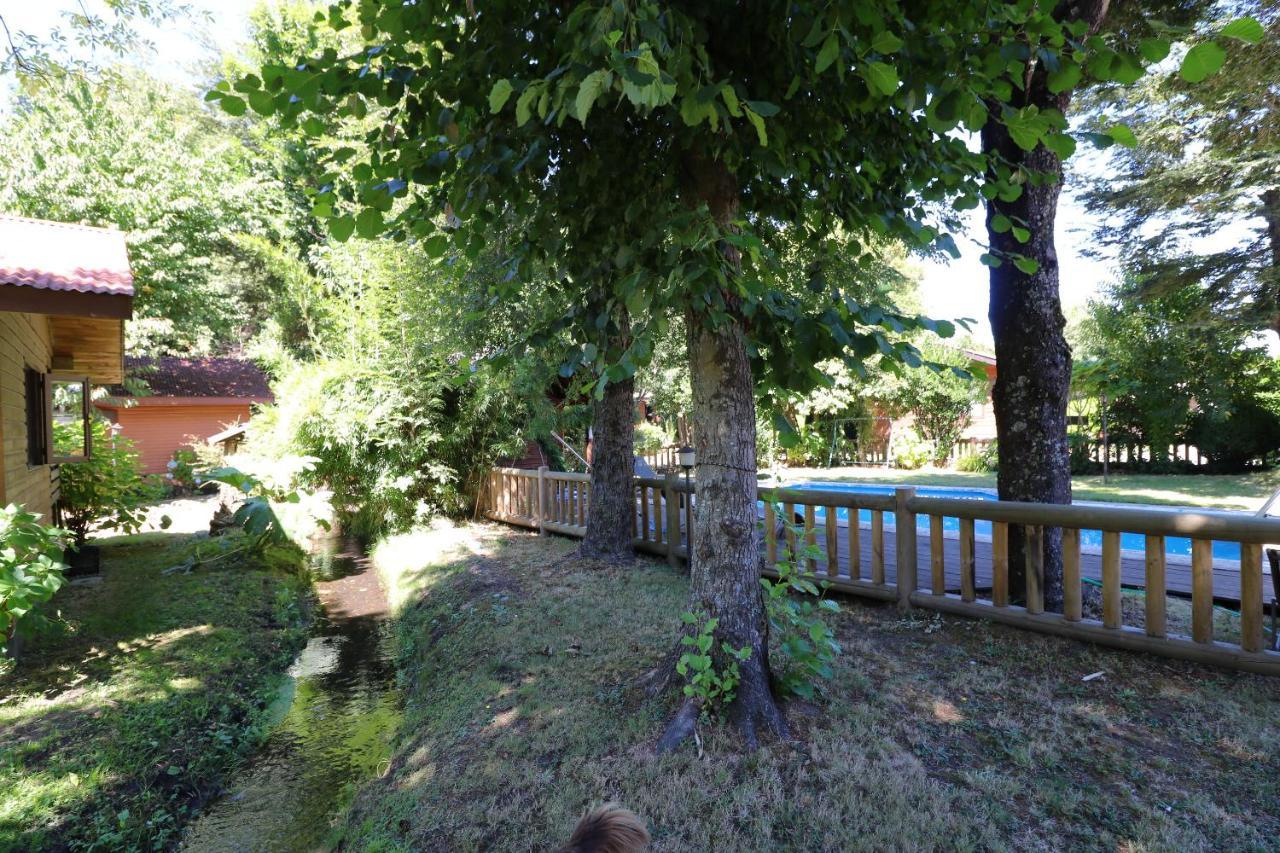 Cabanas Santa Maria Pucón Dış mekan fotoğraf